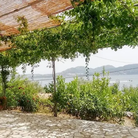 Galanos 2* Nikiana